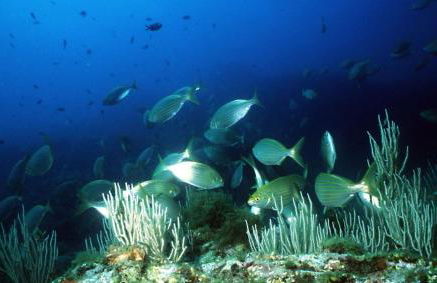 Appartement avec vue exceptionnelle sur mer - Foto 58