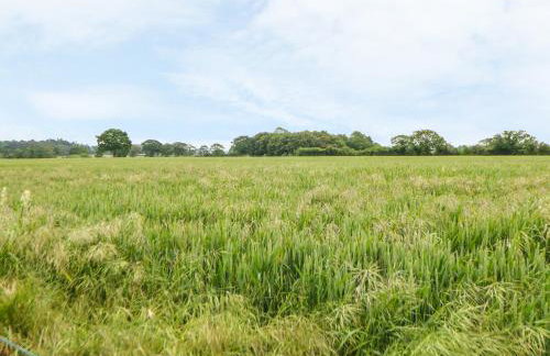 Tawny Owl Barn - Foto 14