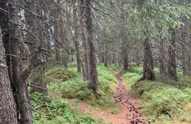 Ski-to-door apartment au Collet d'Allevard - Foto 21