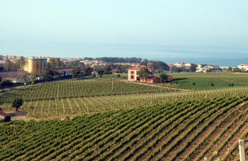 Agriturismo Agrimare Barba - Foto 45