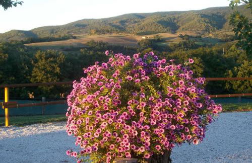 Casale il Colle Deruta - Foto 13