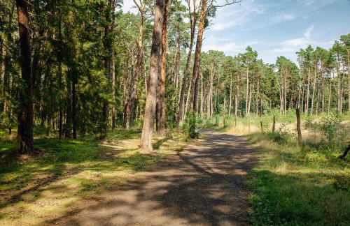 Słoneczna Przystań - Foto 53