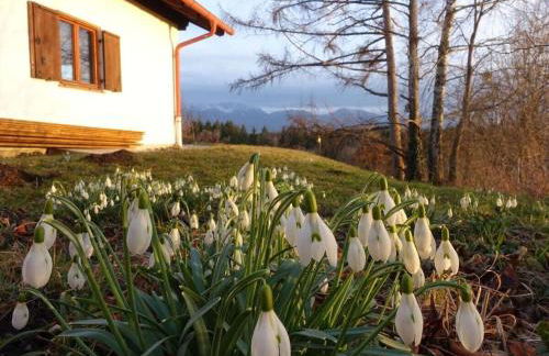 Jagdhaus Nantesbuch Comfortable holiday residence - Foto 13