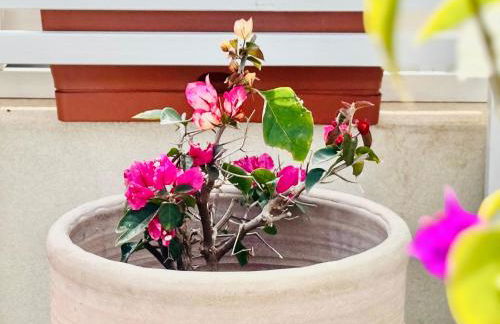 La casa di Tina a due passi dal centro - Foto 43