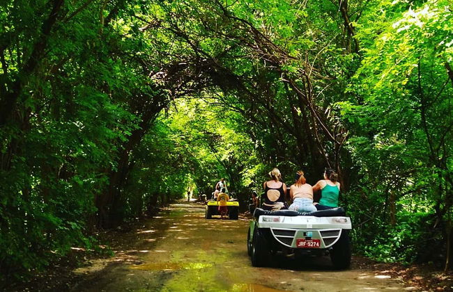 Tour en buggy por Maragogi y São Miguel dos Milagres - Foto 2