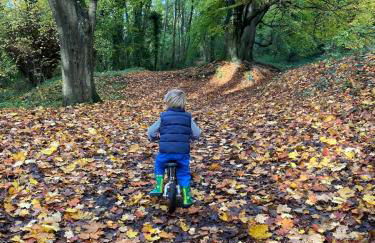 Country Cottage with Steam Railway Views - Foto 37
