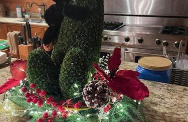 Fireball's Lodge - Foto 78