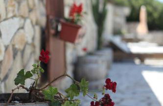 Paxos Santa Marina Villas - Photo 9