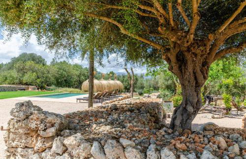 Cal Tio 1 Agroturismo YourHouse - Foto 27