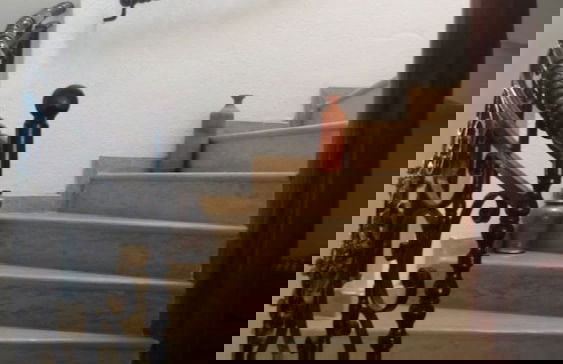 Duplex Résidence Santa Vue Mer - Foto 15