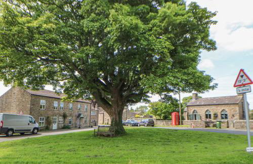 South View - Foto 42