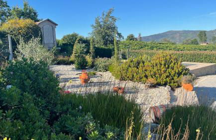 Quinta D'Arroteia - Foto 15