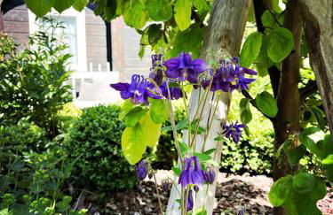 Lovingly Restored Half-Timbered House From 1684 - Foto 32