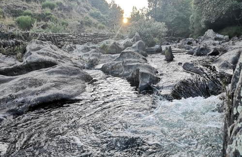 La nueva Escuela - Foto 22