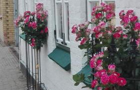 Alter Krämerladen von 1732 - Foto 38