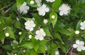 L'Original, Superbe appartement à 5min de la plage - Foto 47