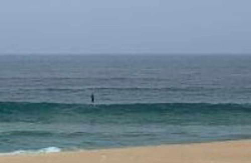 Casinha em frente à Lagoa - Foto 4