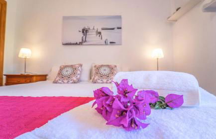 Vinyes Can Grau - Foto 25