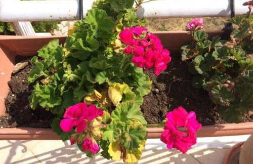 Sunny Studios - Foto 1