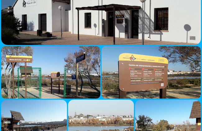 Apartamento Sergio - Foto 29