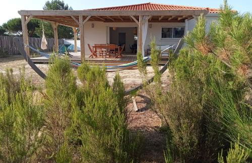 Santa Monta - Foto 21