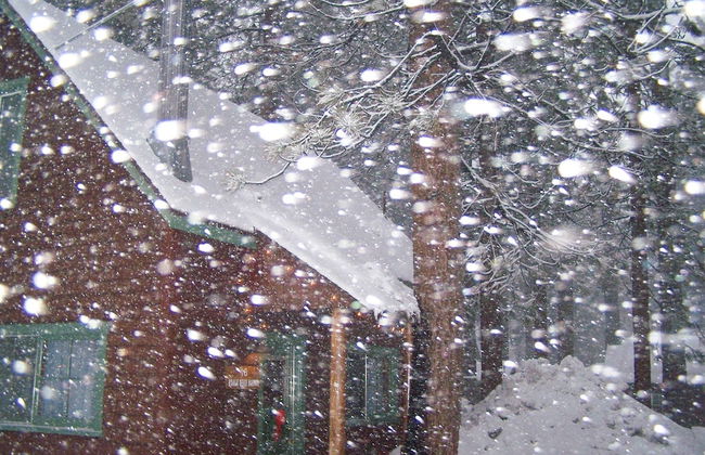 Golden Bear Cottages - Foto 76