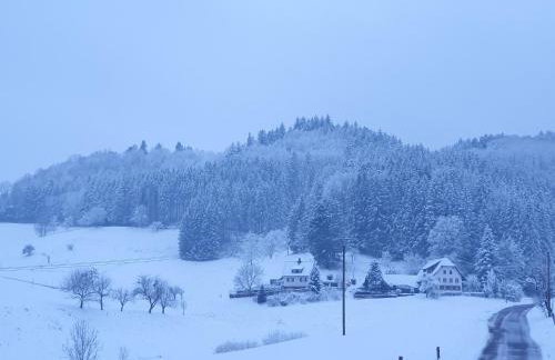 Ferienwohnung am Siegelbächle - Foto 17