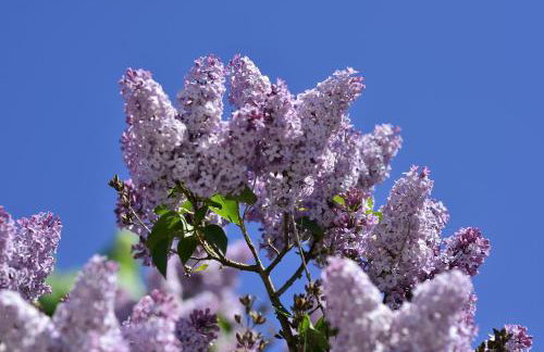 Dom na wodzie Mazury - Foto 37