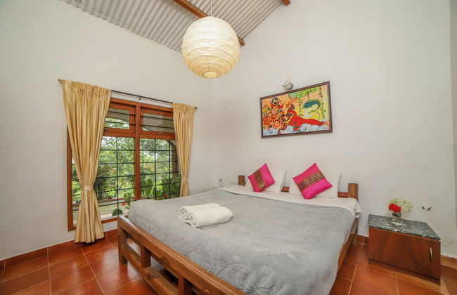 Samrakshitha Suits - Foto 12