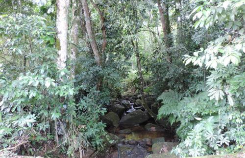 Casa Orquídeas Ubatuba Praia da Lagoinha - Foto 59