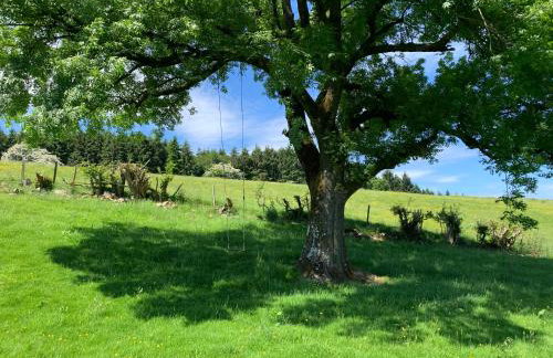 The Nook at Pentregaer Ucha, with tennis court & lake. - Foto 26