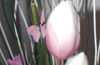 Le casette di Frà al Bondì - Foto 44