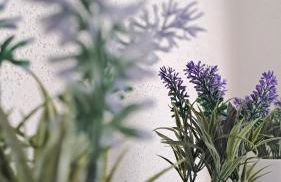 La tappa del vignaiolo Home - Foto 1