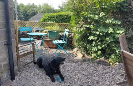 Dogs stay free, country walks from door, EV station, fenced garden, near gastro pub - Foto 9