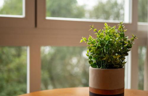 Aconchego e Natureza a 1,2km do Centro de Gramado - Photo 23