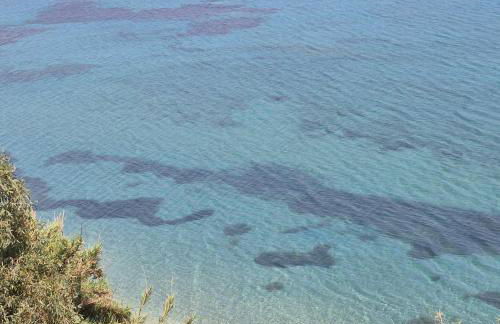 Tritsili house - Photo 72