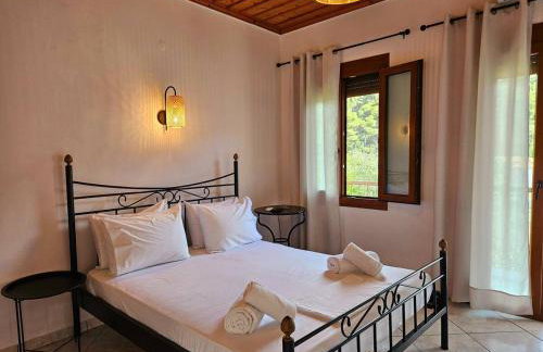 The Pine Trees - Foto 17