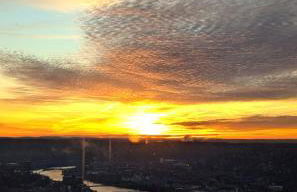 Pet Friendly 3 Bdrm House with Private Yard - Foto 32