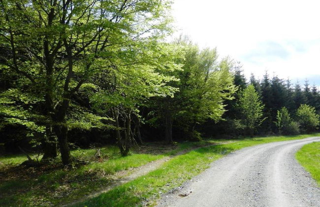 Serene Villa in Kstelberg near Lake & Watersports - Photo 30