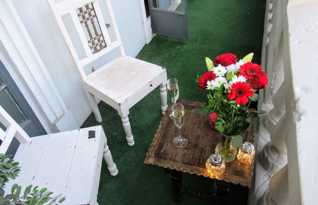 Maltese Maltese - Foto 37