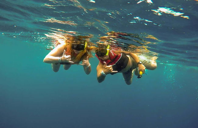 Swimming with Whale Sharks in Isla Mujeres - Foto 6