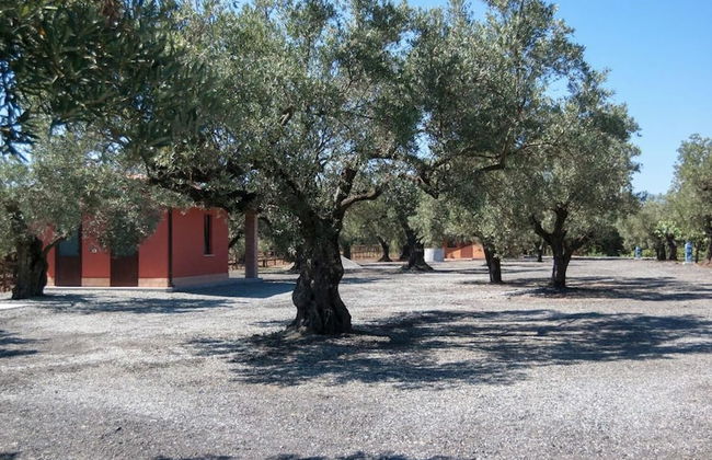 Feudo delle Querce - Foto 28