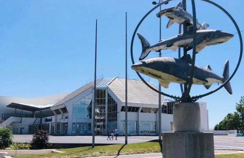 BELLEVUE -Appartement de Charme - Vue imprenable sur la Mer - Face à Nausicàa - Foto 18