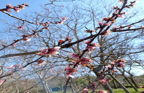 Casa vacanze in famiglia relax e natura - Foto 35