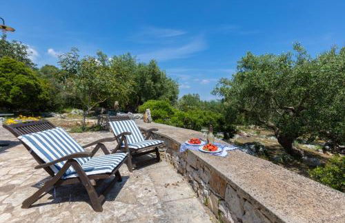 Pajara Rugiada - Foto 34