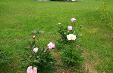 Charming converted Mill with Private Swimming Pool - Foto 15