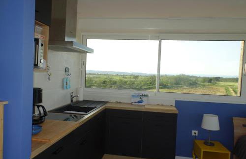 Domaine du Petit Tournebelle - Foto 14