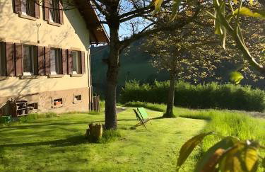 Auszeit im Waldhaus - Foto 1