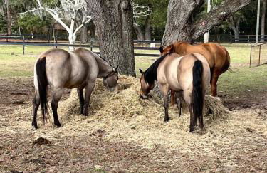 Double D Ranch - Foto 17