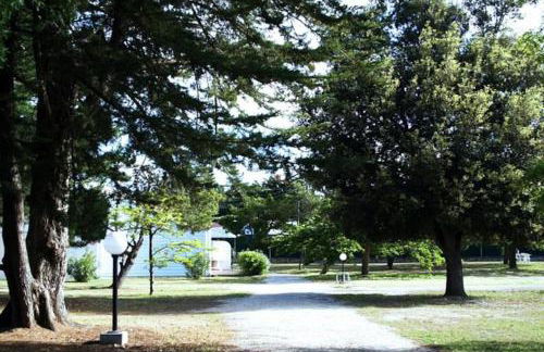 Studio avec piscine à 300m de la mer - Foto 12